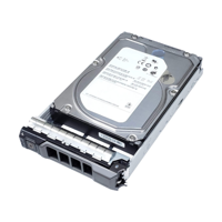 HDD-shijf HDD gewijd voor de server DELL 3.5'' 1000GB SATA 6Gb/s 400-AUPW